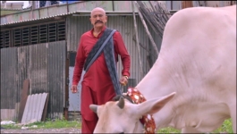 Harphoul Mohini - 10th October 2022